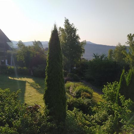 Apratman Julie - Bavorska Ruda Daire Bayerisch Eisenstein Dış mekan fotoğraf